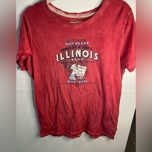 Walt Disney park Illinois red tee